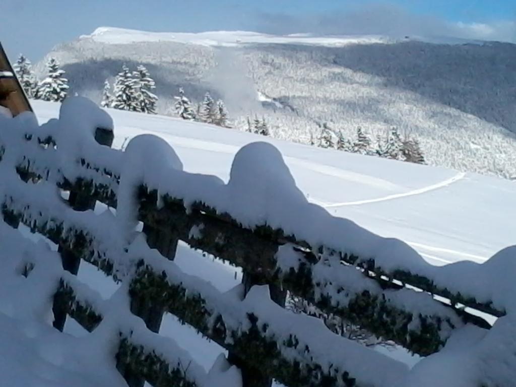 Garni Kostner Hotel Ортизей Екстериор снимка